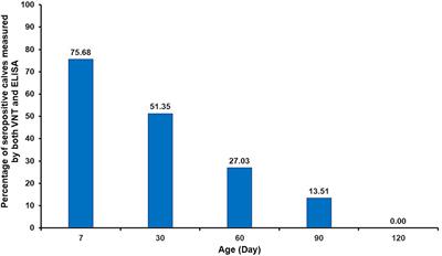 Persistence of passive immunity in calves receiving colostrum from cows vaccinated with a live attenuated lumpy skin disease vaccine and the performance of serological tests